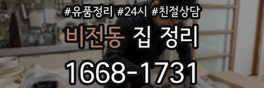 비전동 집 정리