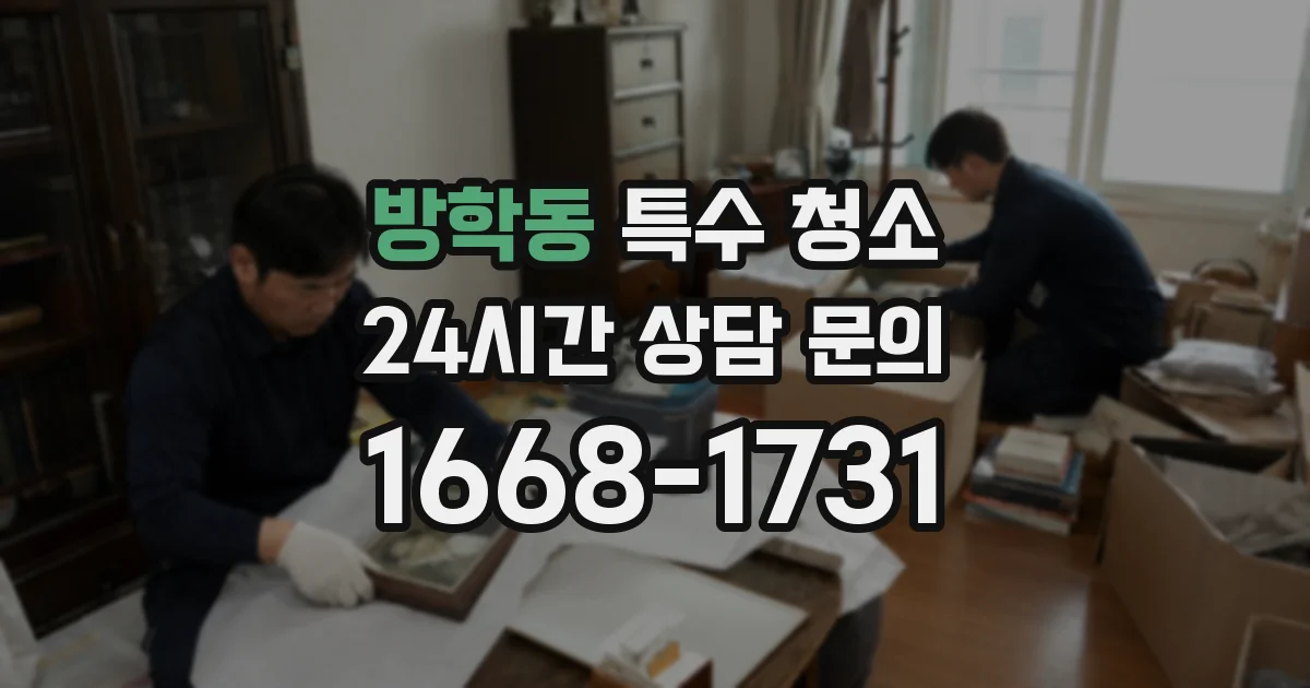 방학동 특수 청소