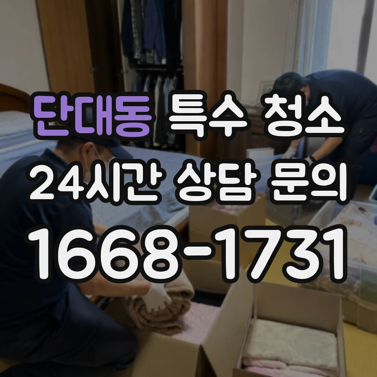 단대동 특수 청소