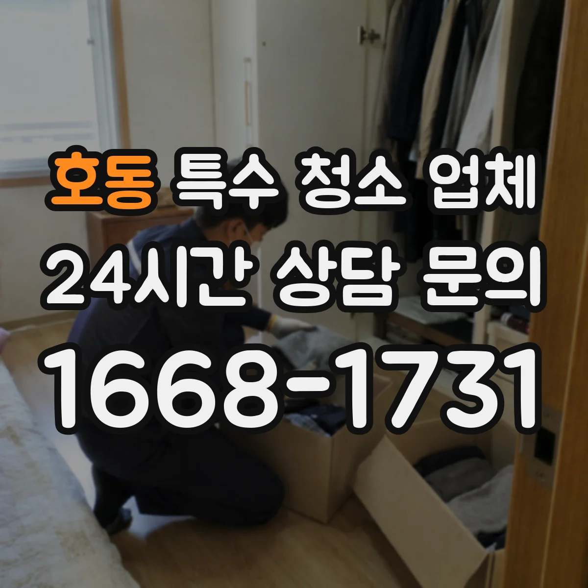 호동 특수 청소 업체