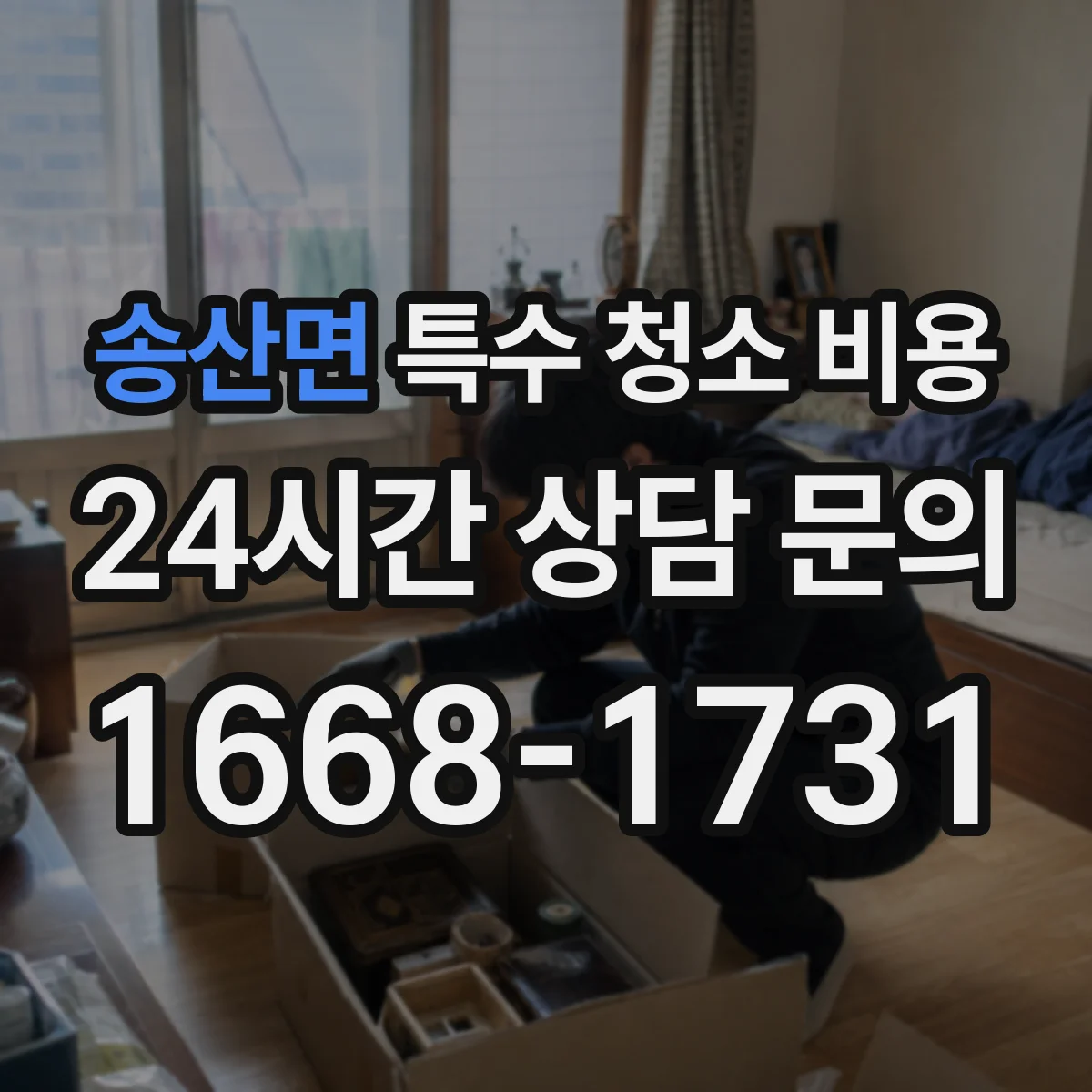 송산면 특수 청소 비용