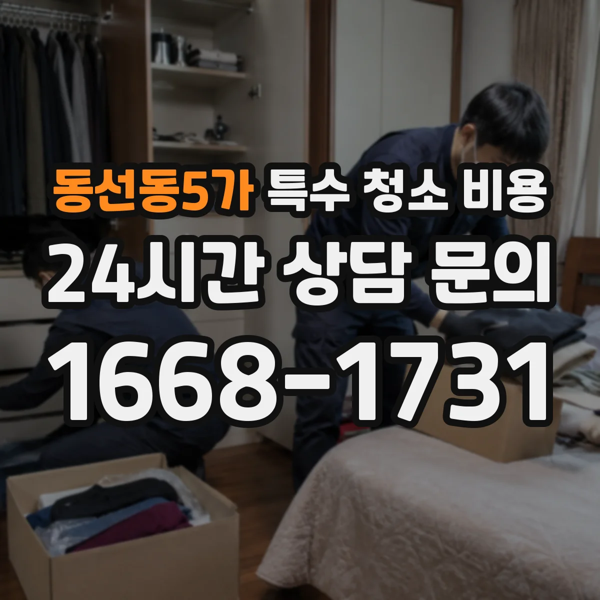 동선동5가 특수 청소 비용