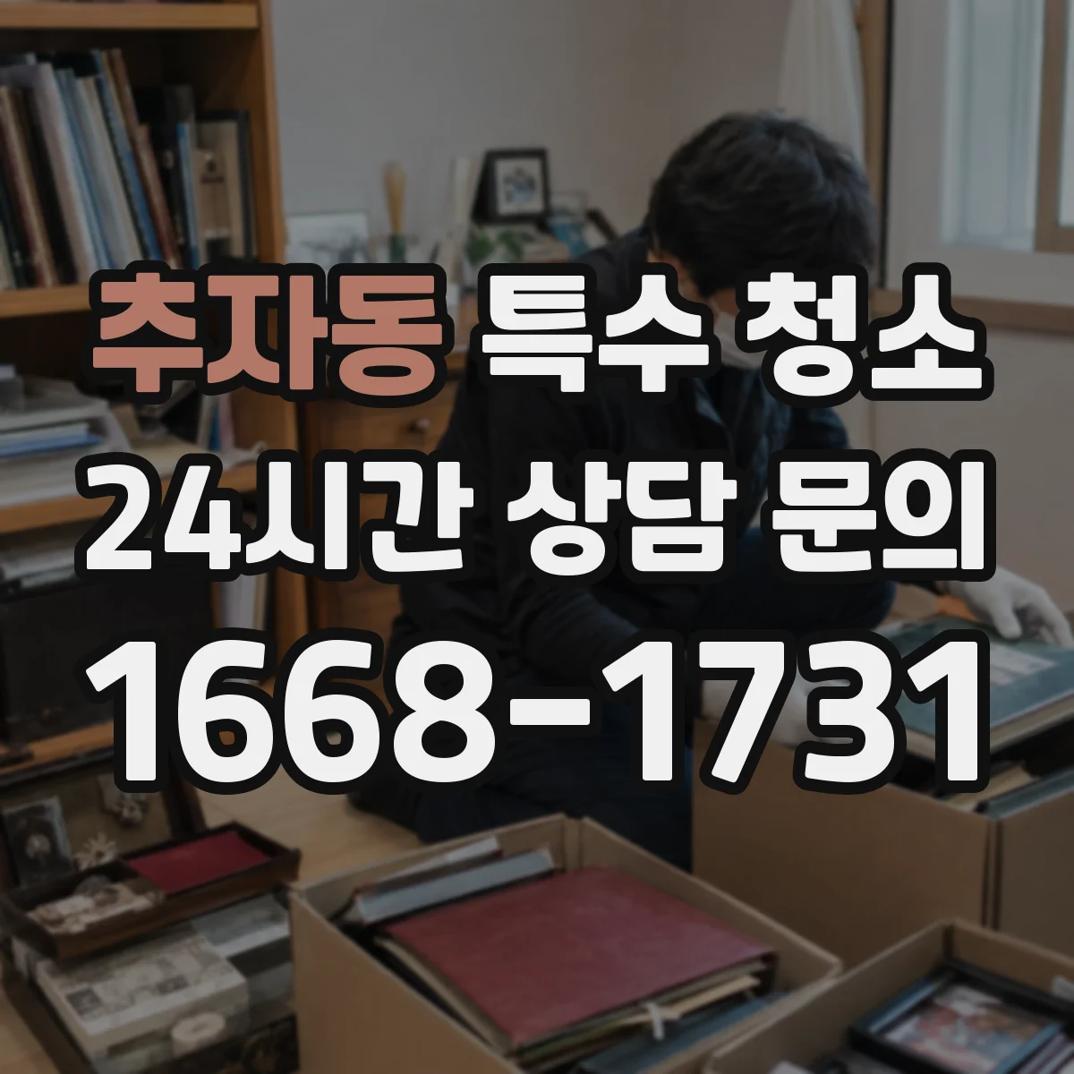 추자동 특수 청소