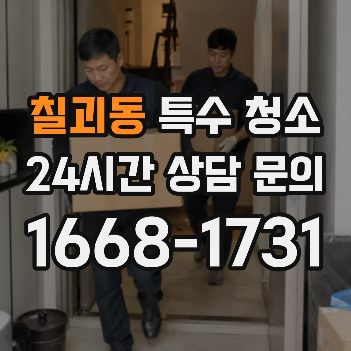 칠괴동 특수 청소