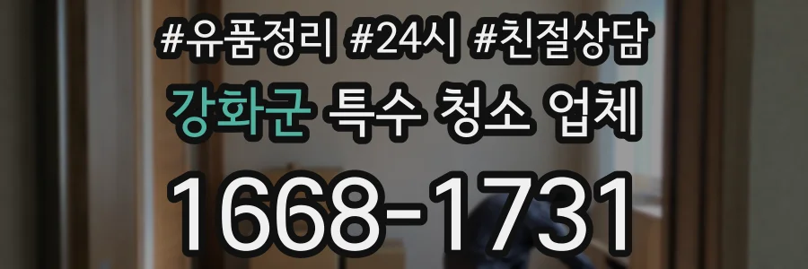 강화군 특수 청소 업체