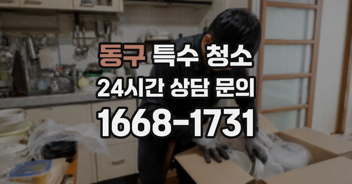 동구 특수 청소