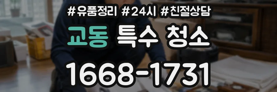 교동 특수 청소