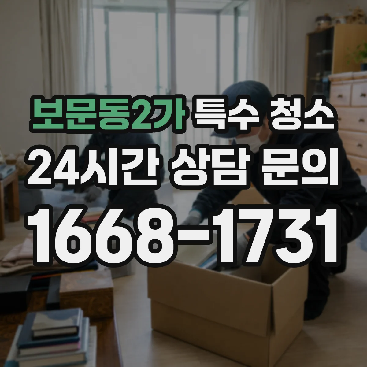 보문동2가 특수 청소