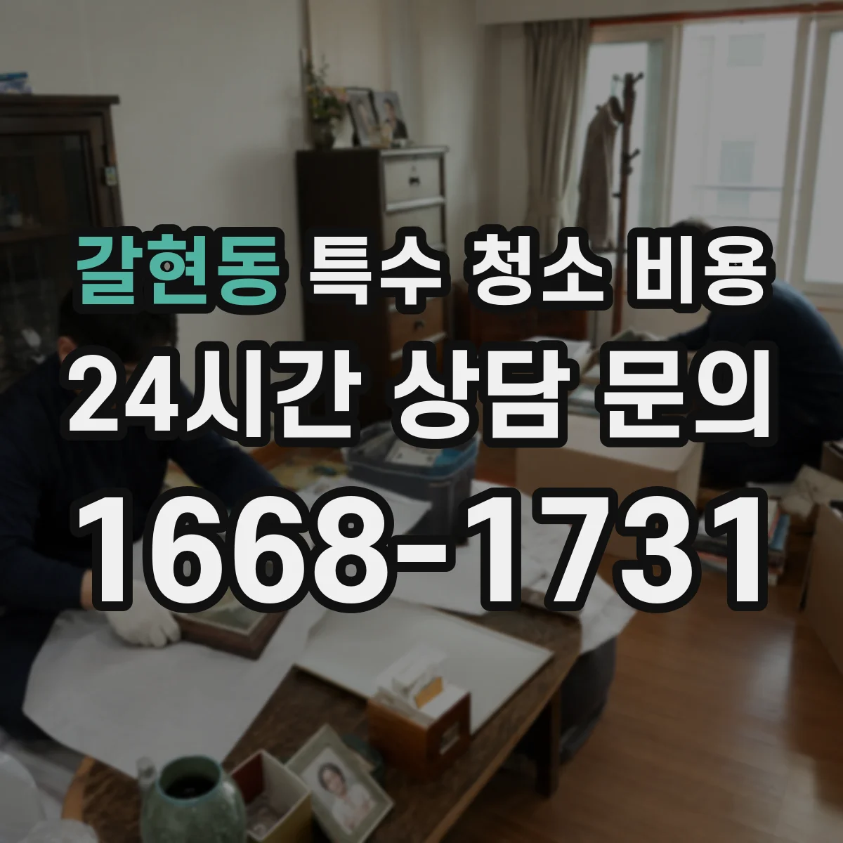 갈현동 특수 청소 비용