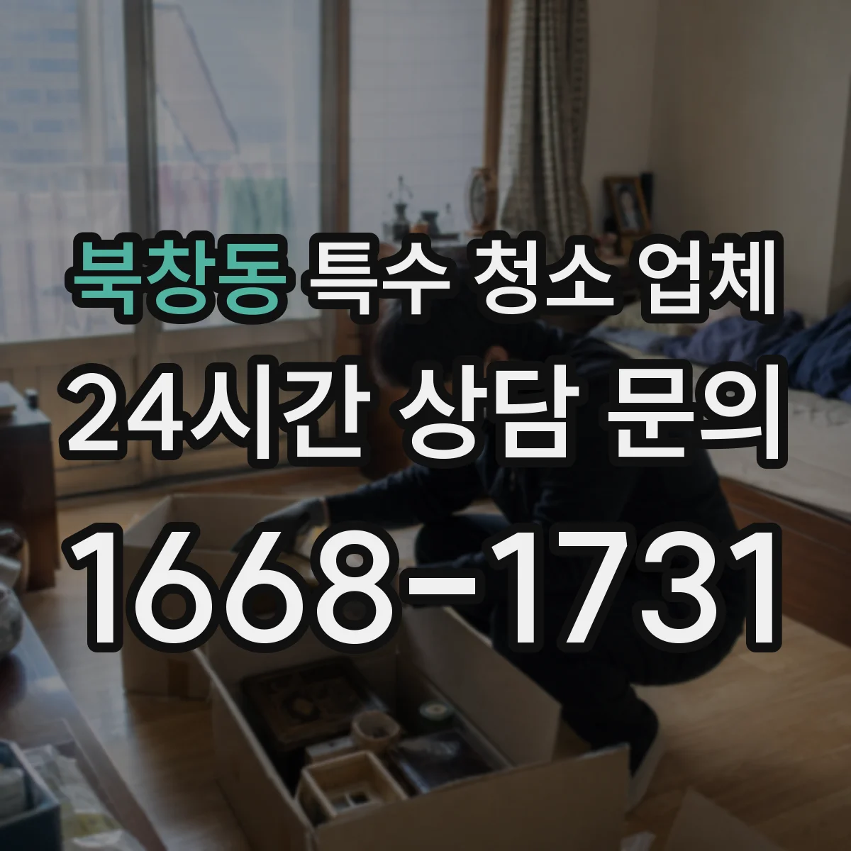 북창동 특수 청소 업체