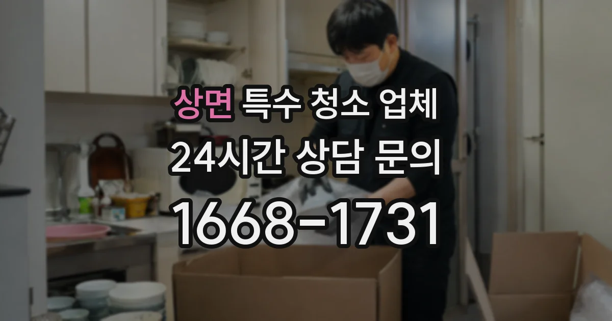 상면 특수 청소 업체
