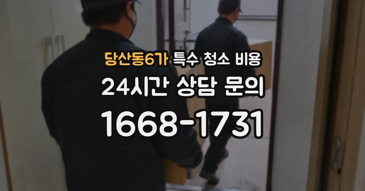 당산동6가 특수 청소 비용