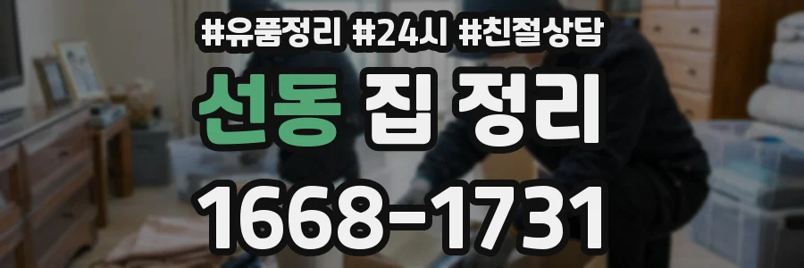 선동 집 정리