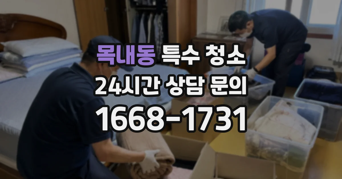 목내동 특수 청소