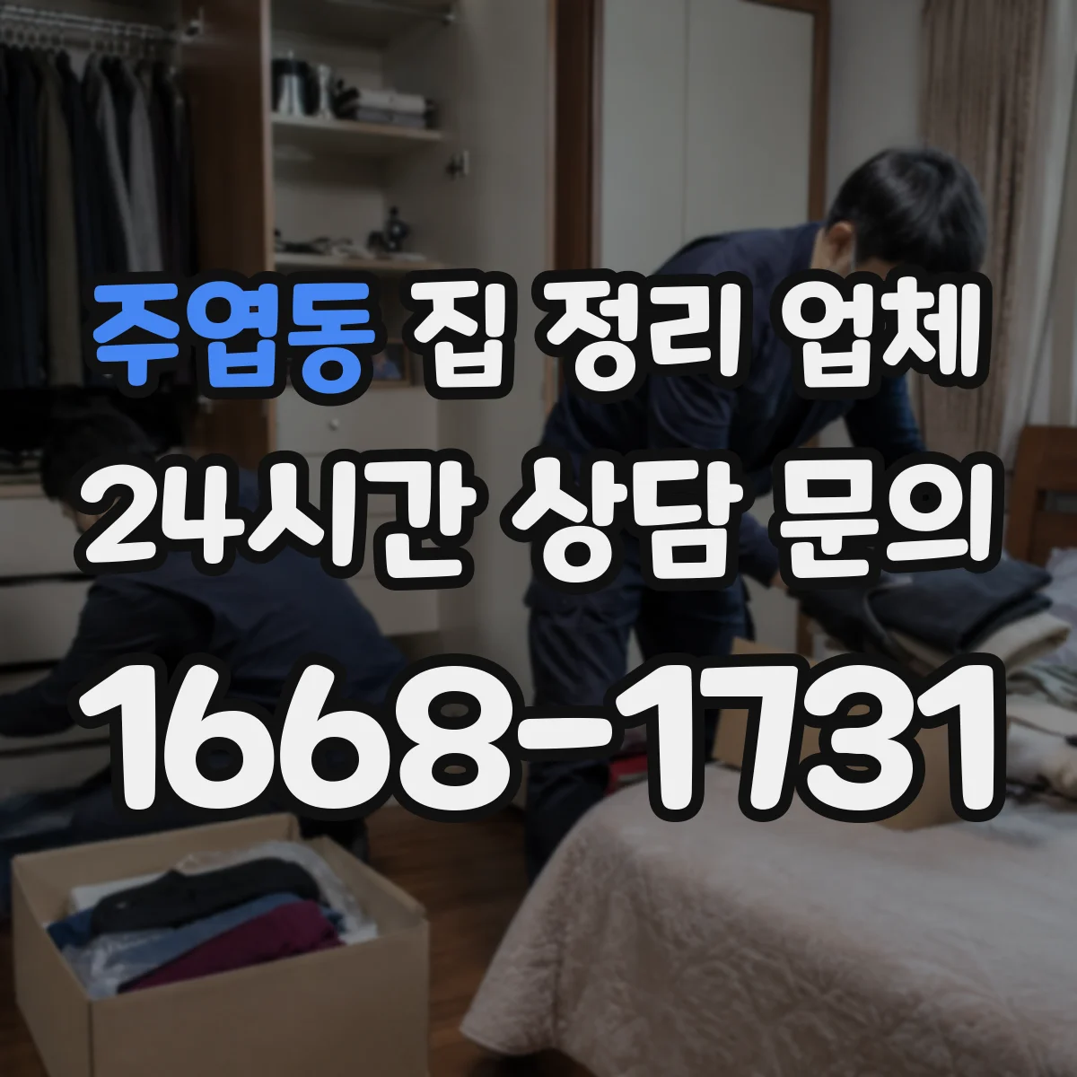 주엽동 집 정리 업체