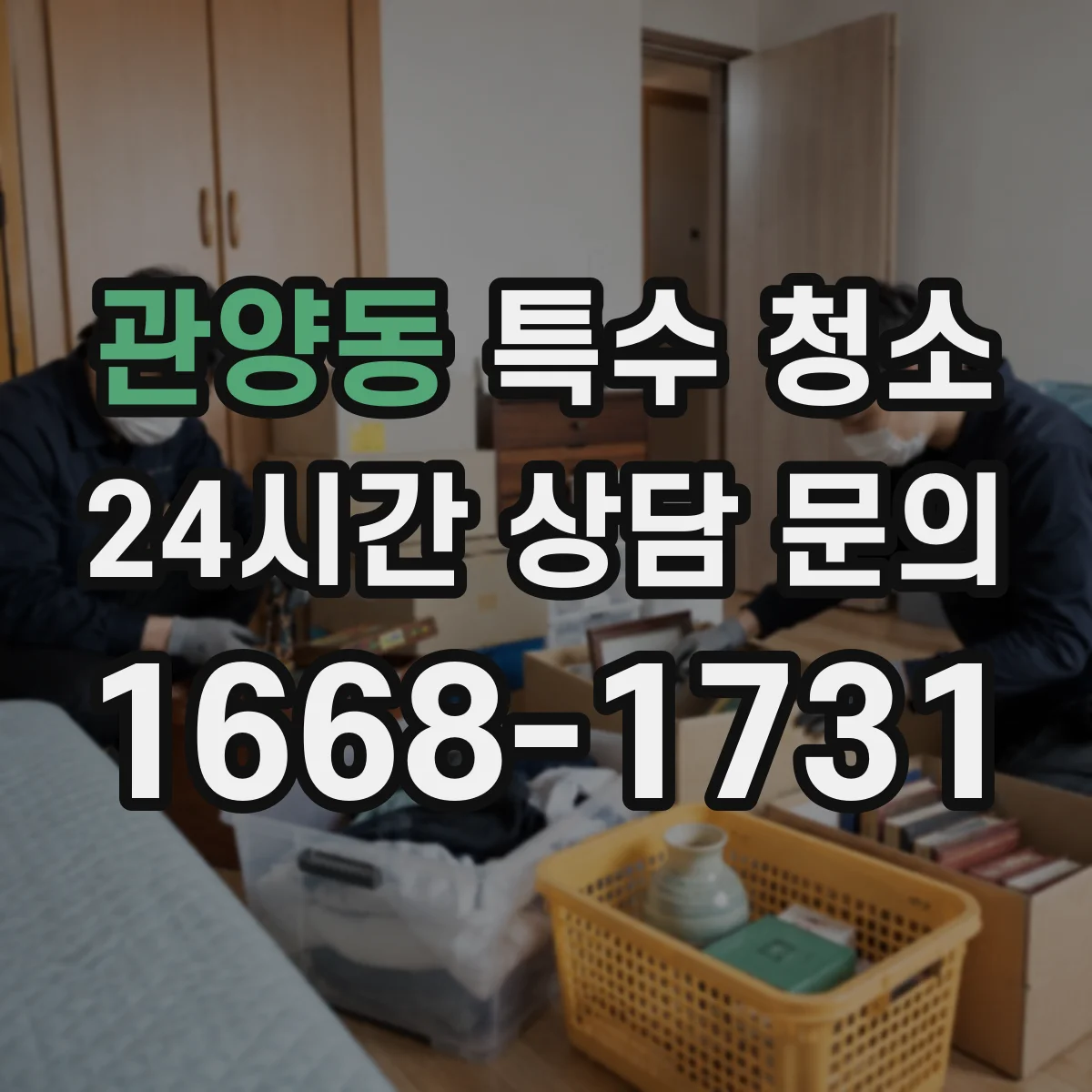관양동 특수 청소
