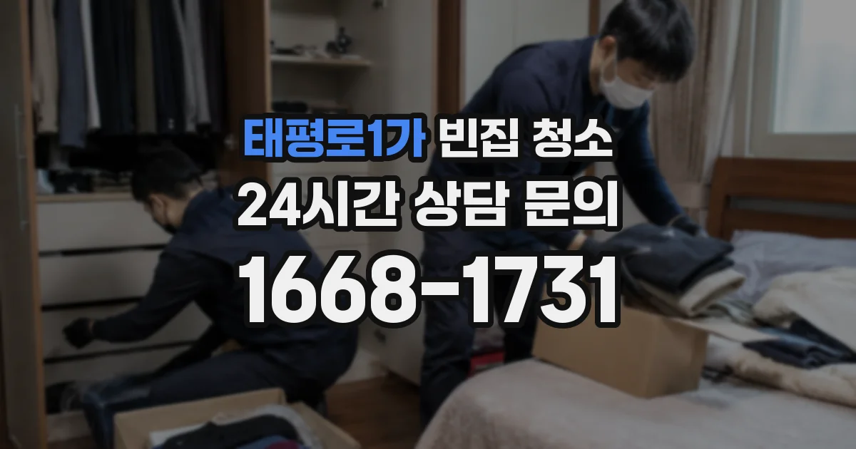 태평로1가 빈집 청소