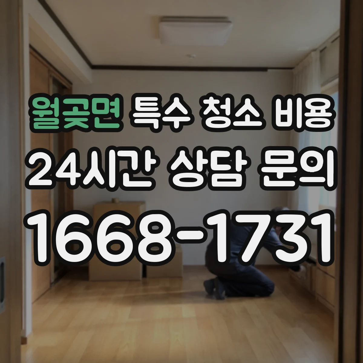 월곶면 특수 청소 비용