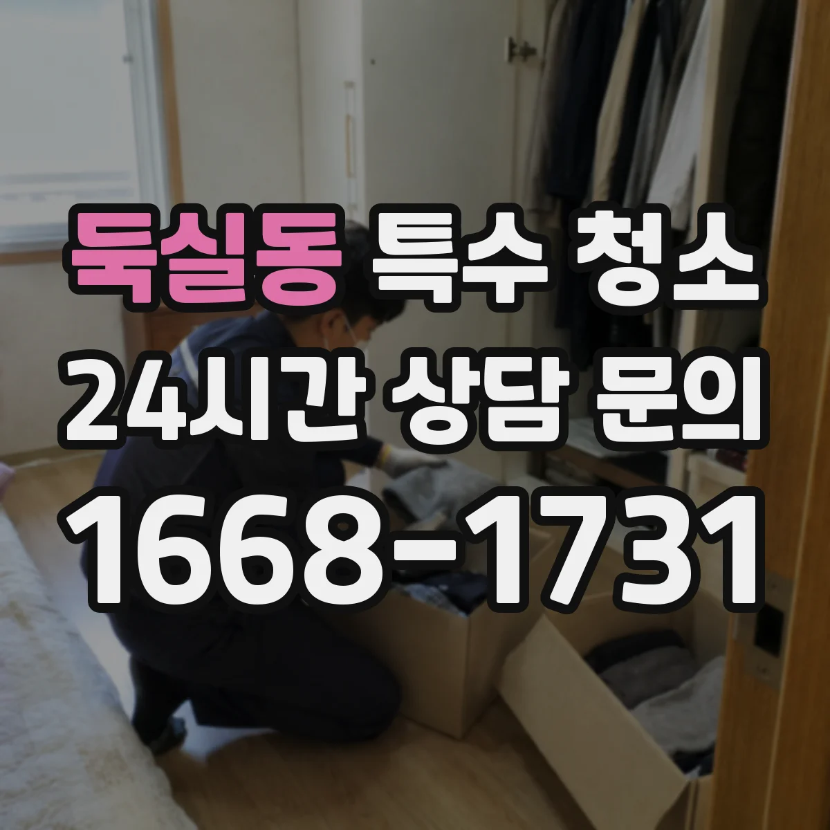 둑실동 특수 청소