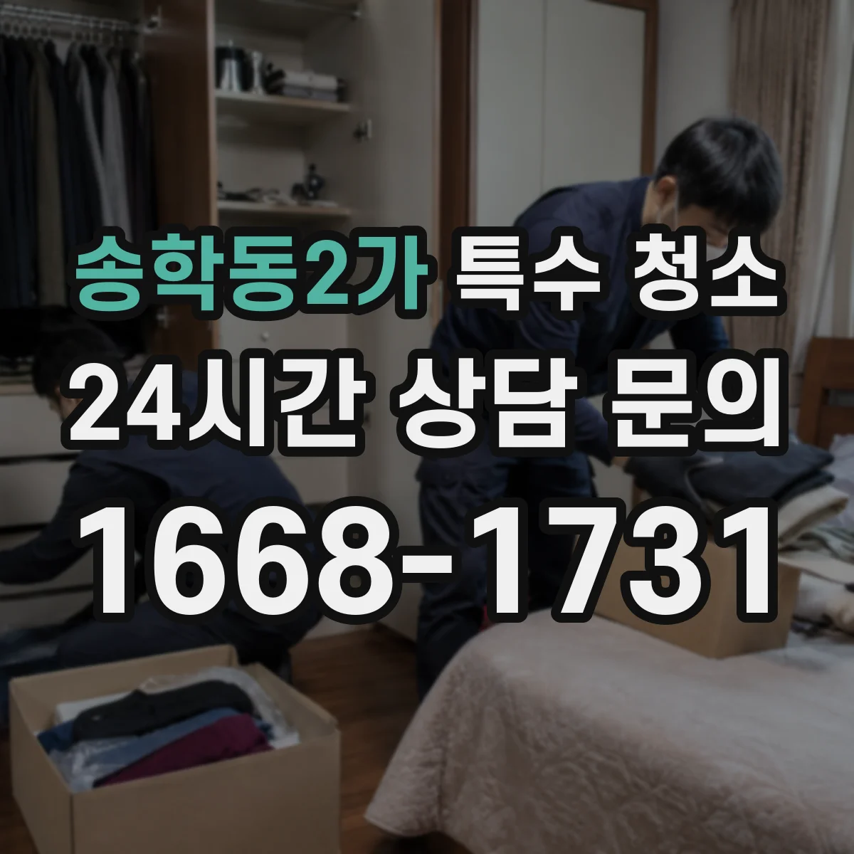 송학동2가 특수 청소