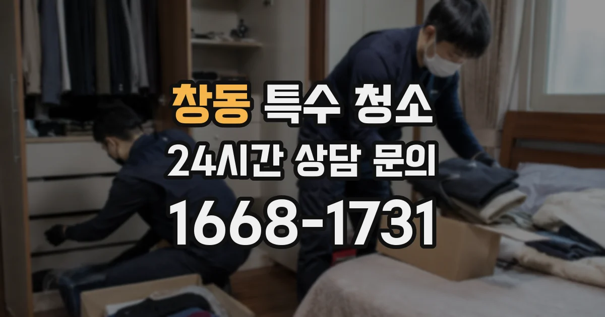 창동 특수 청소