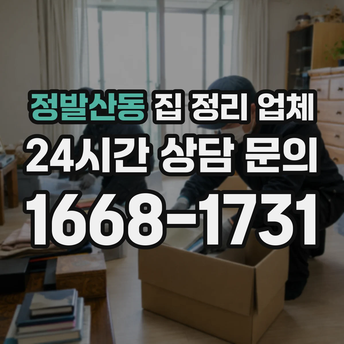 정발산동 집 정리 업체