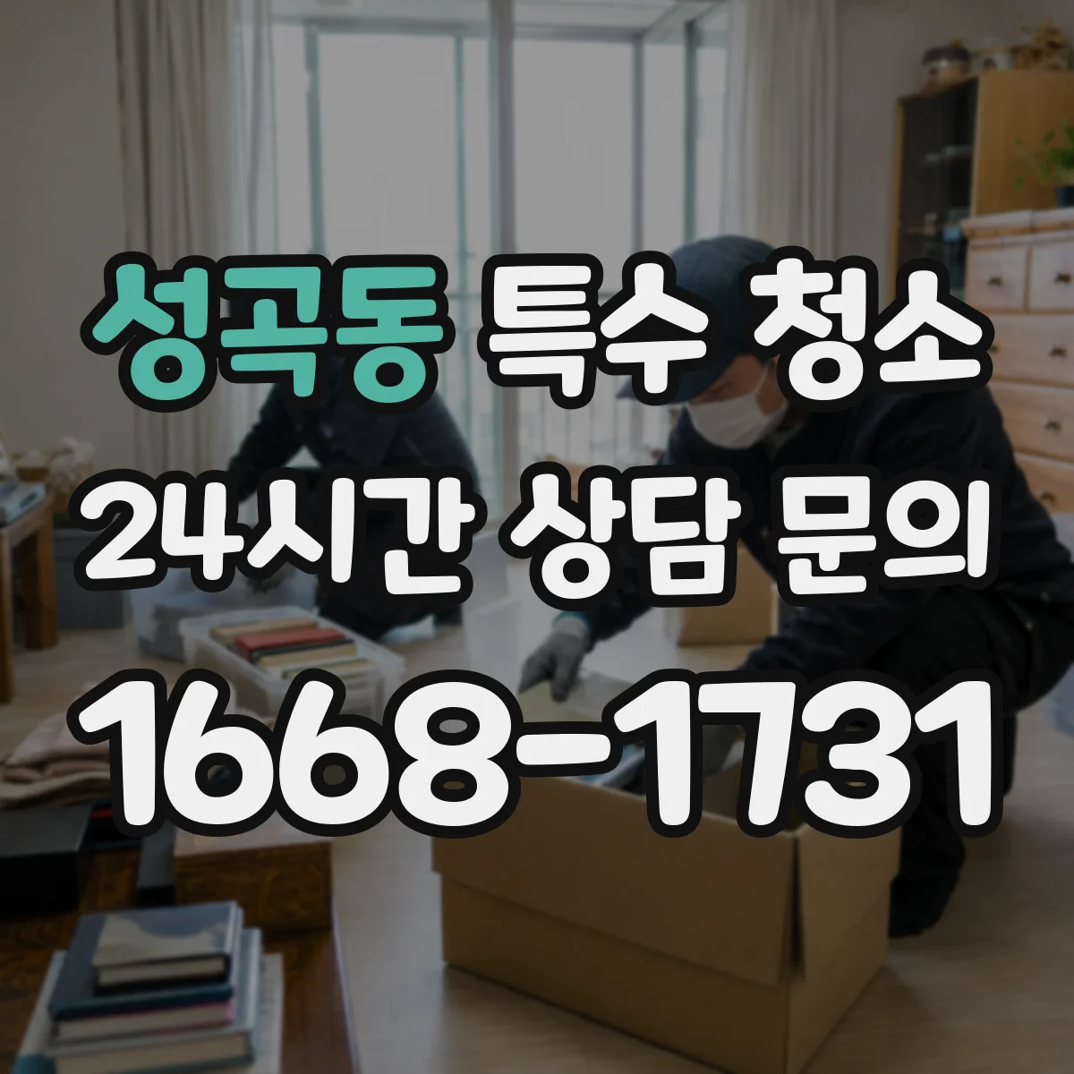 성곡동 특수 청소