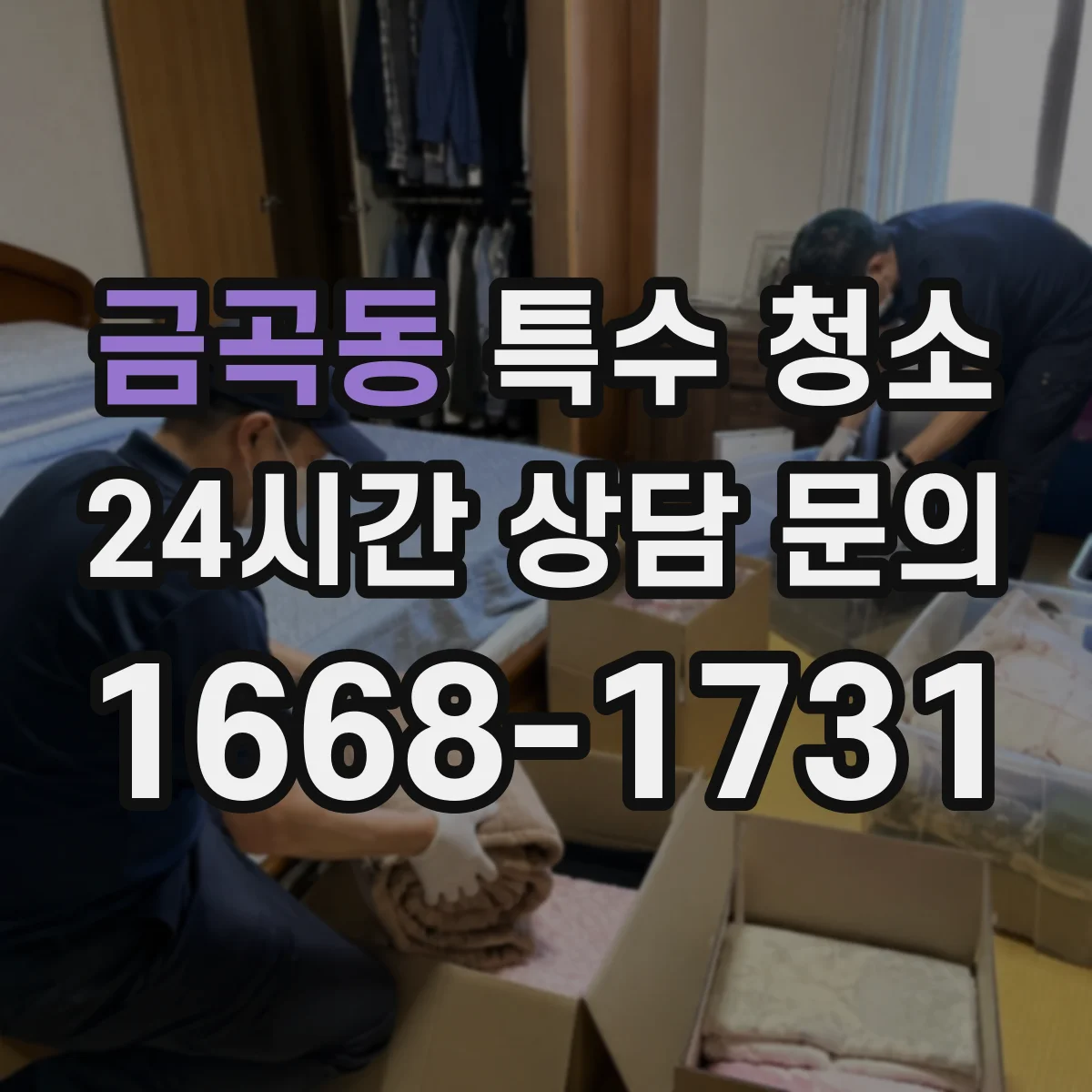 금곡동 특수 청소