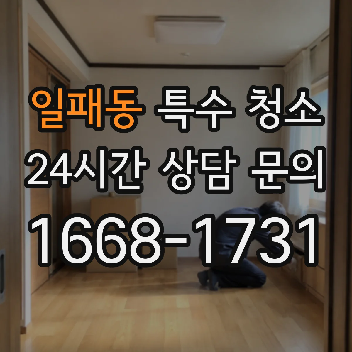 일패동 특수 청소