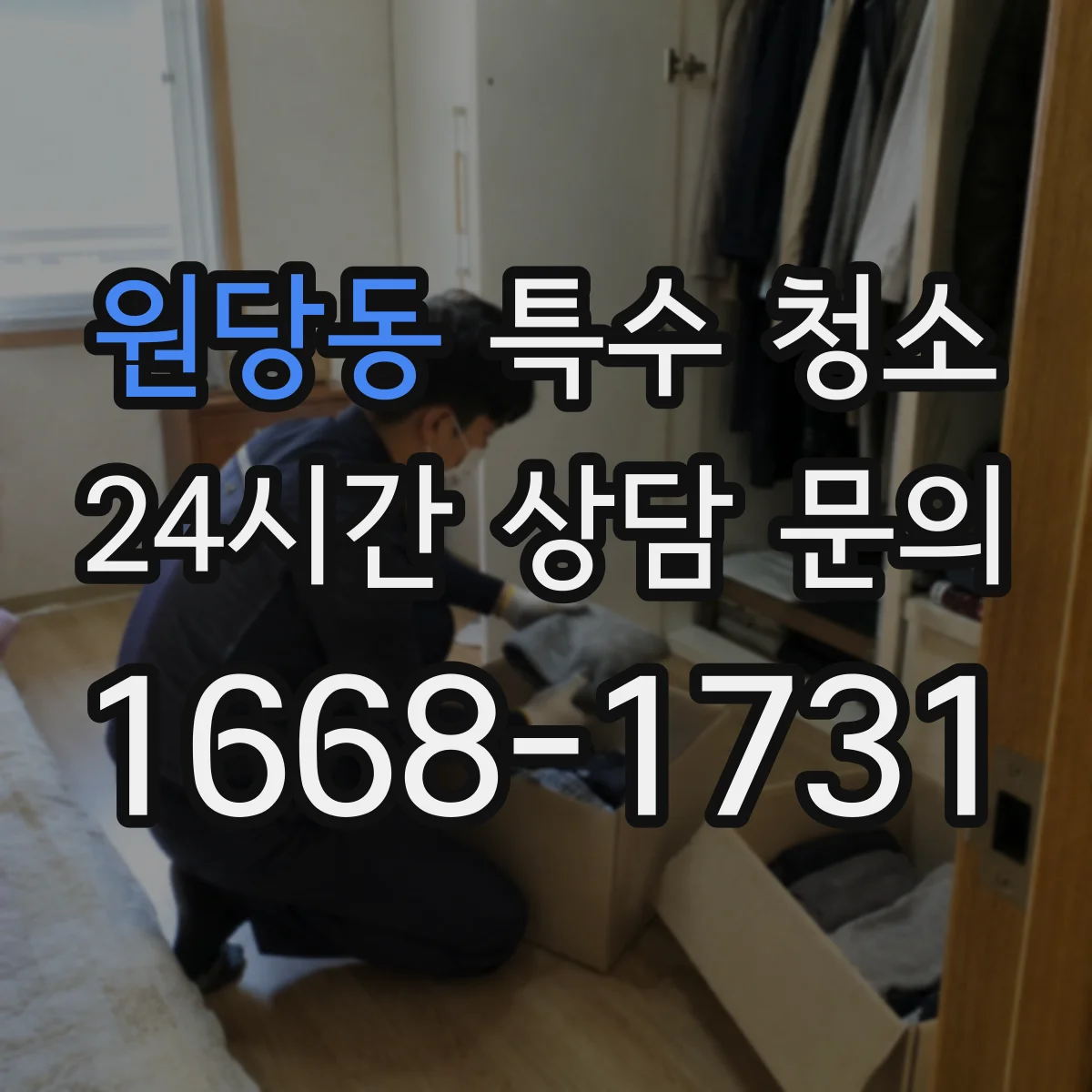 원당동 특수 청소