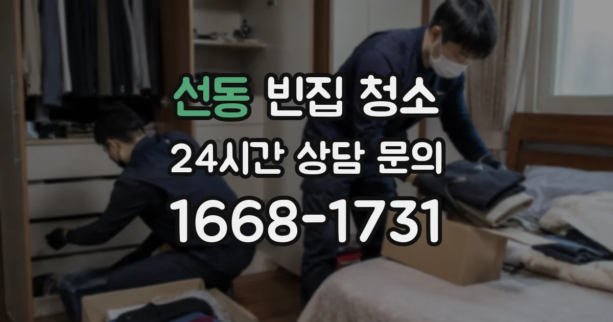 선동 빈집 청소