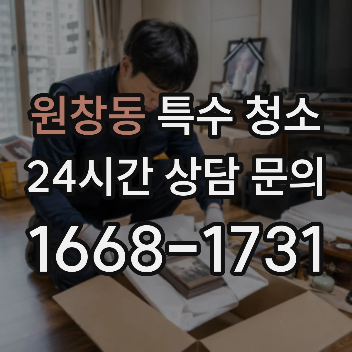 원창동 특수 청소