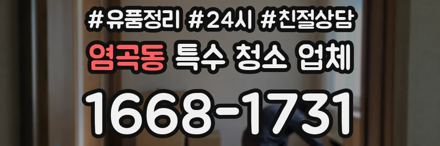 염곡동 특수 청소 업체