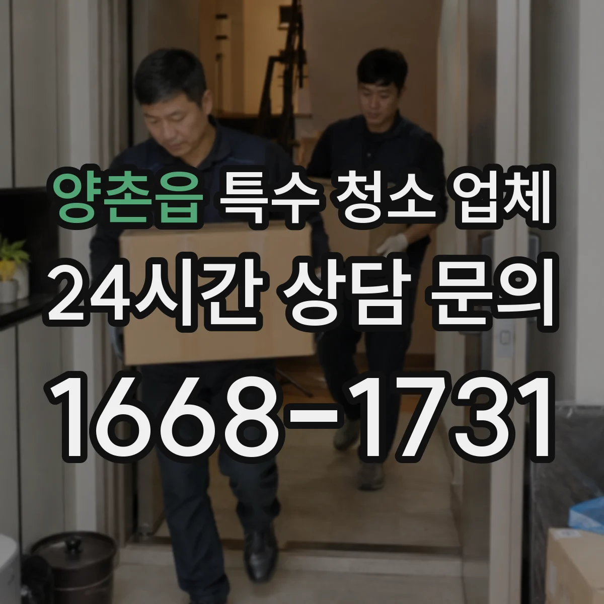 양촌읍 특수 청소 업체