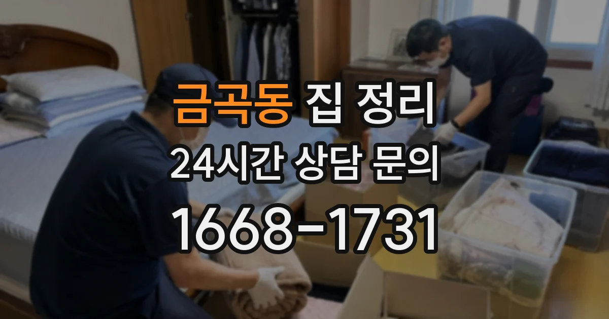 금곡동 집 정리