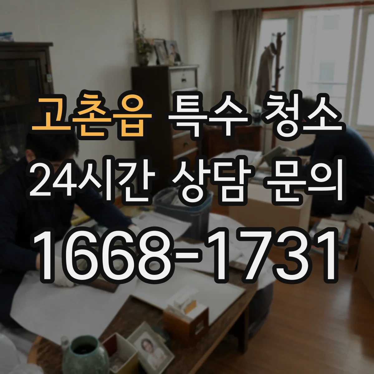 고촌읍 특수 청소