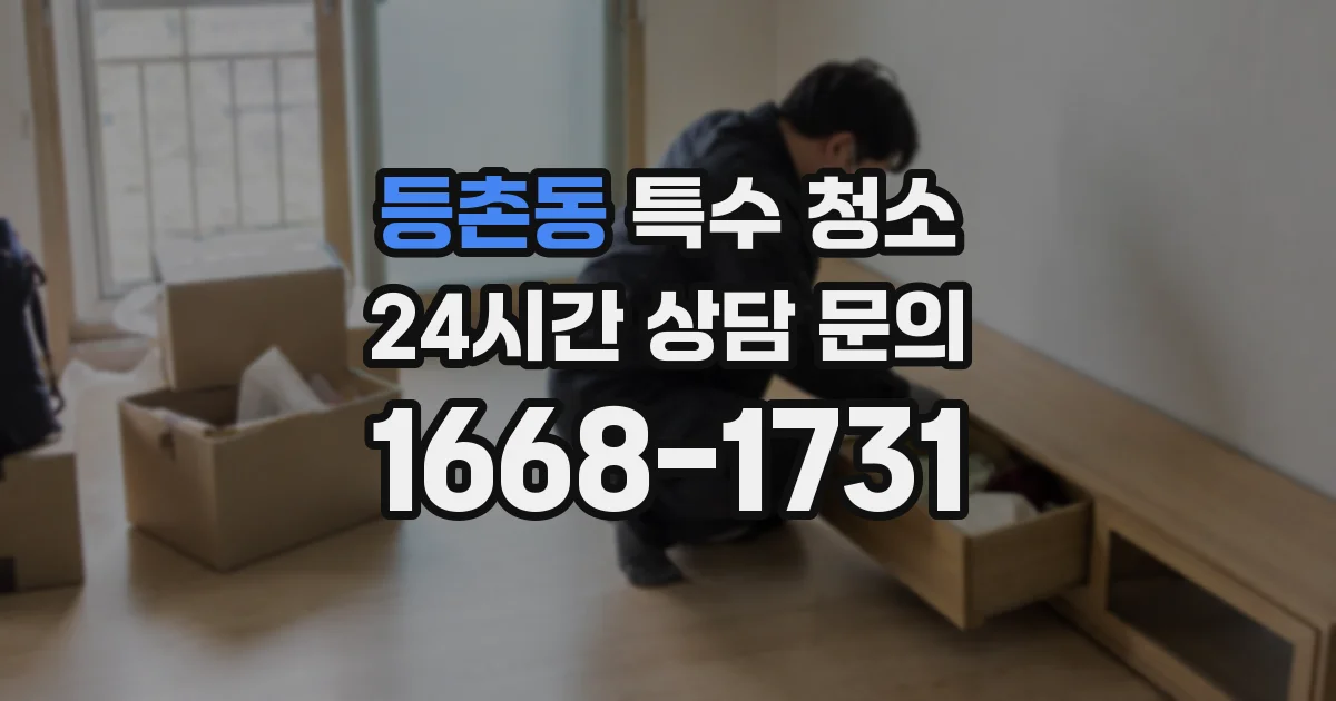 등촌동 특수 청소