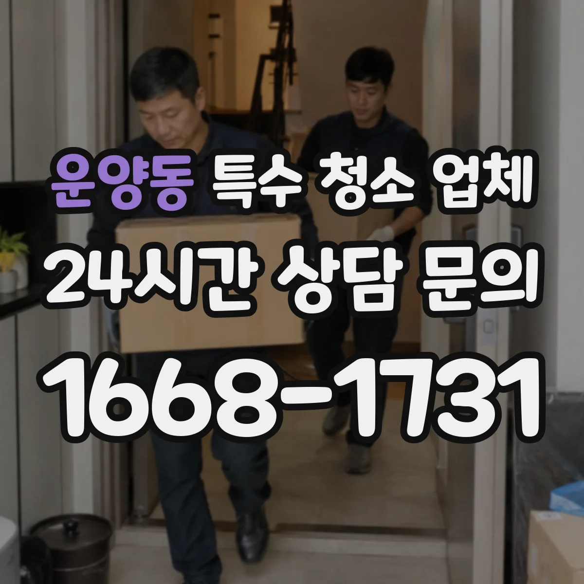 운양동 특수 청소 업체
