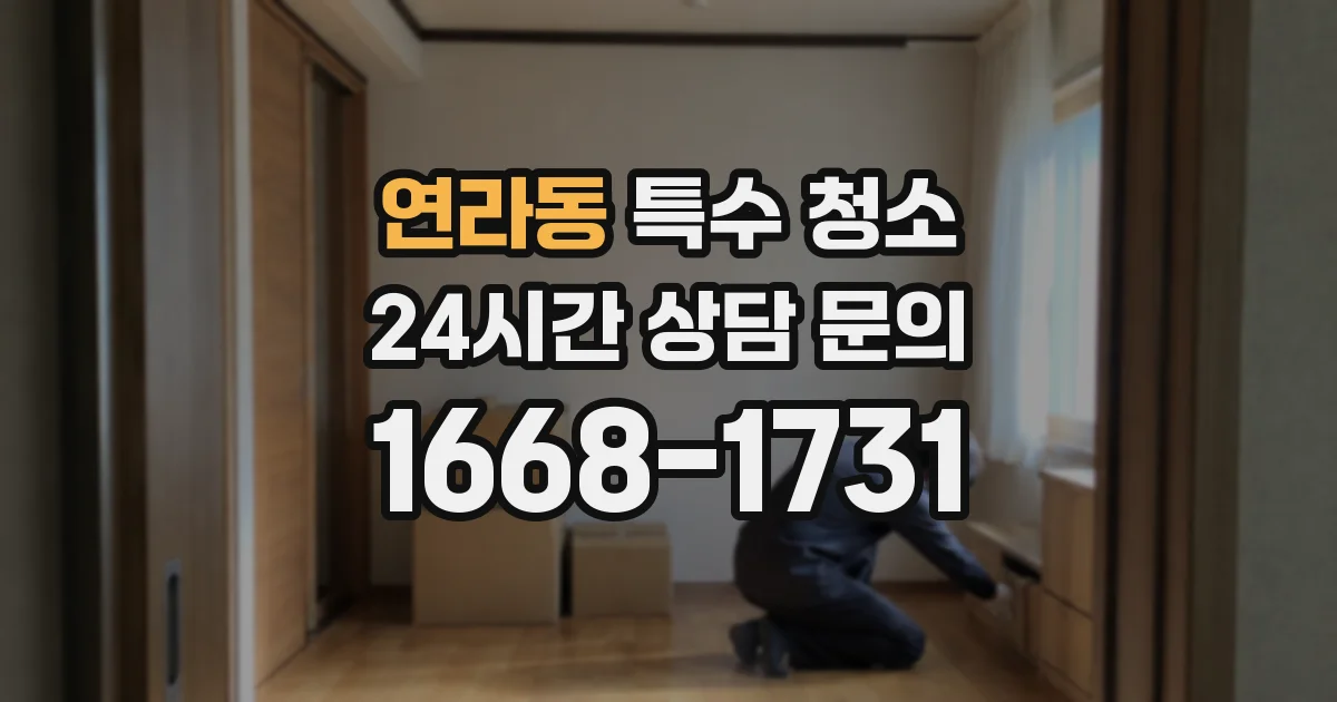 연라동 특수 청소