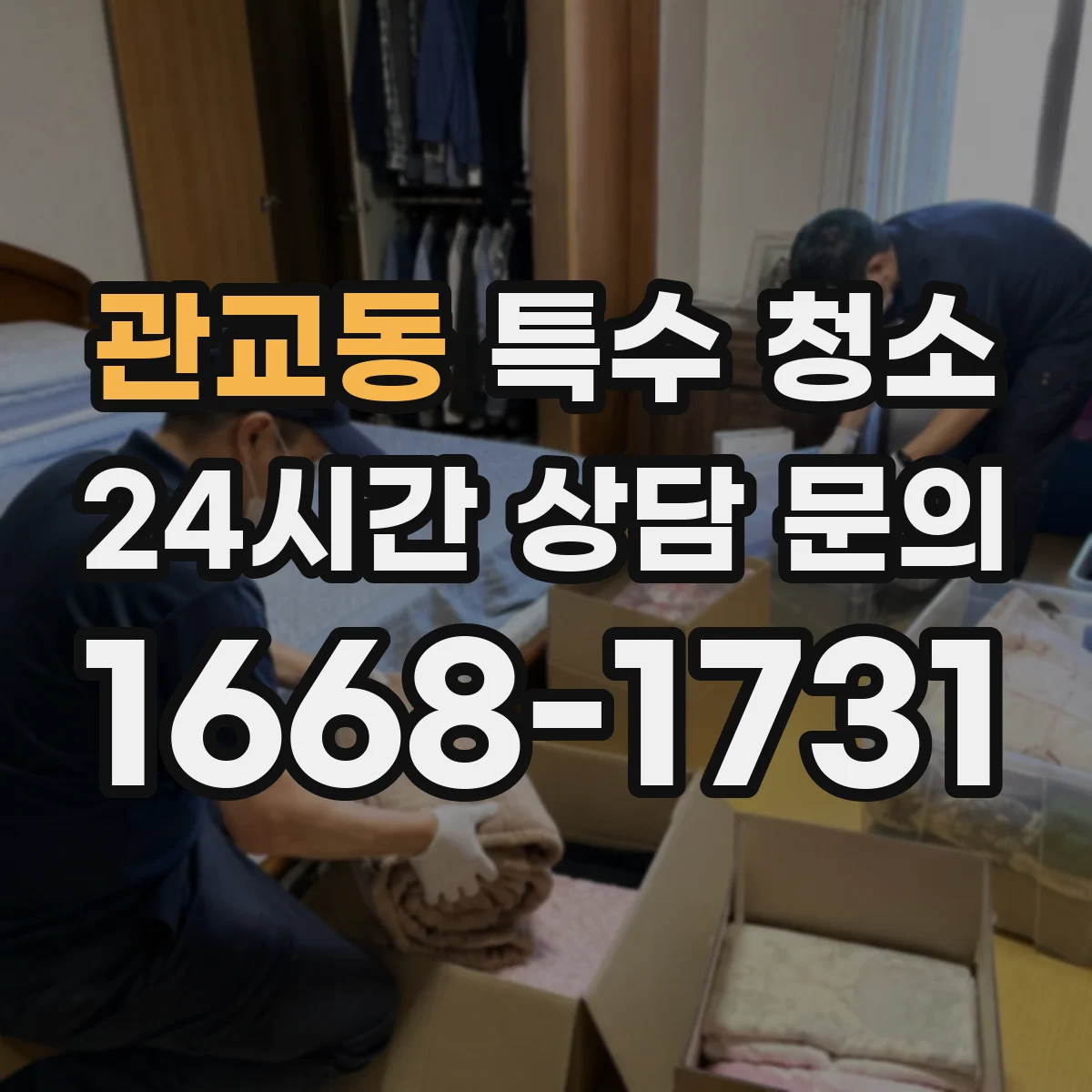 관교동 특수 청소