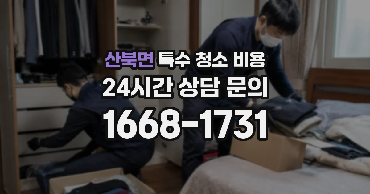 산북면 특수 청소 비용