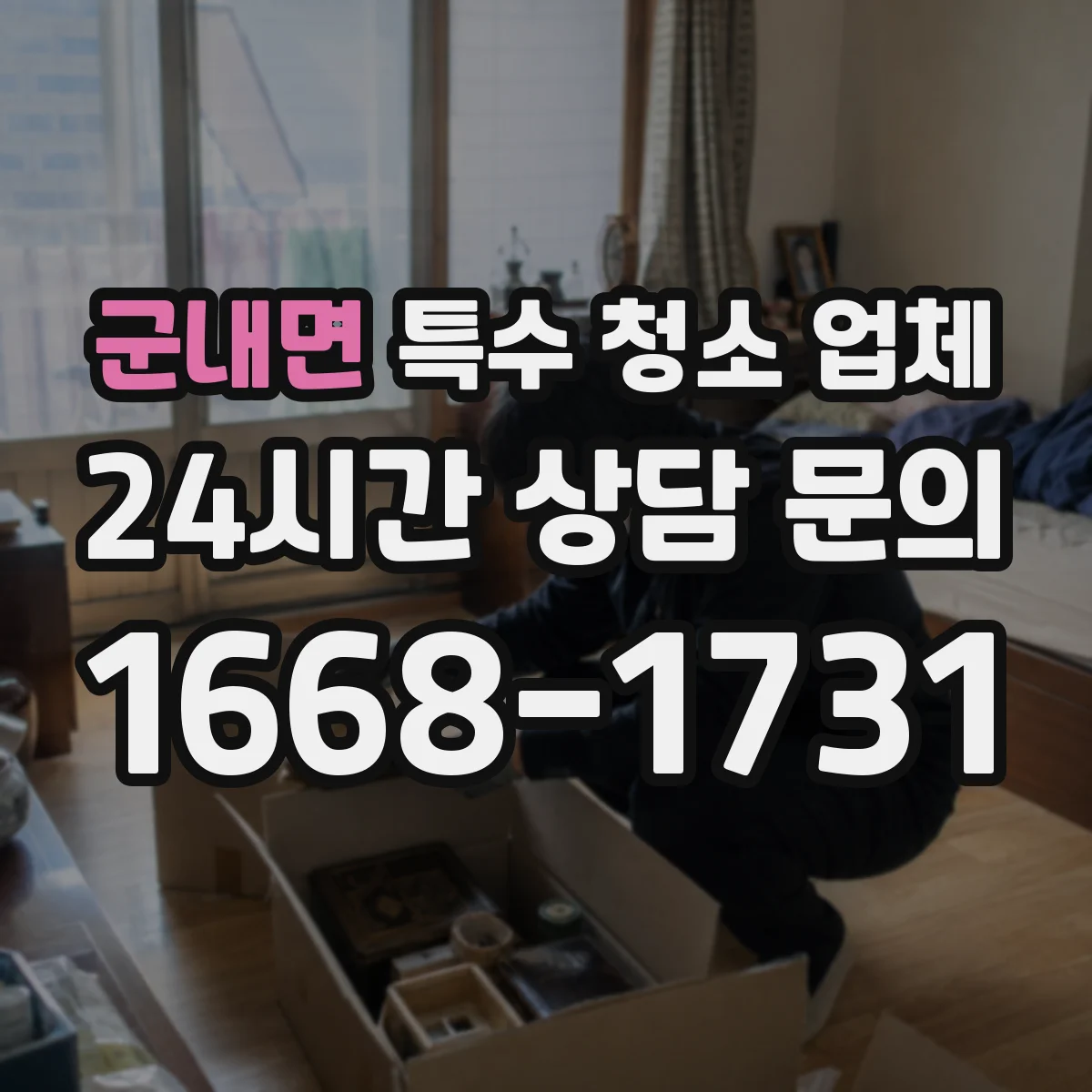 군내면 특수 청소 업체