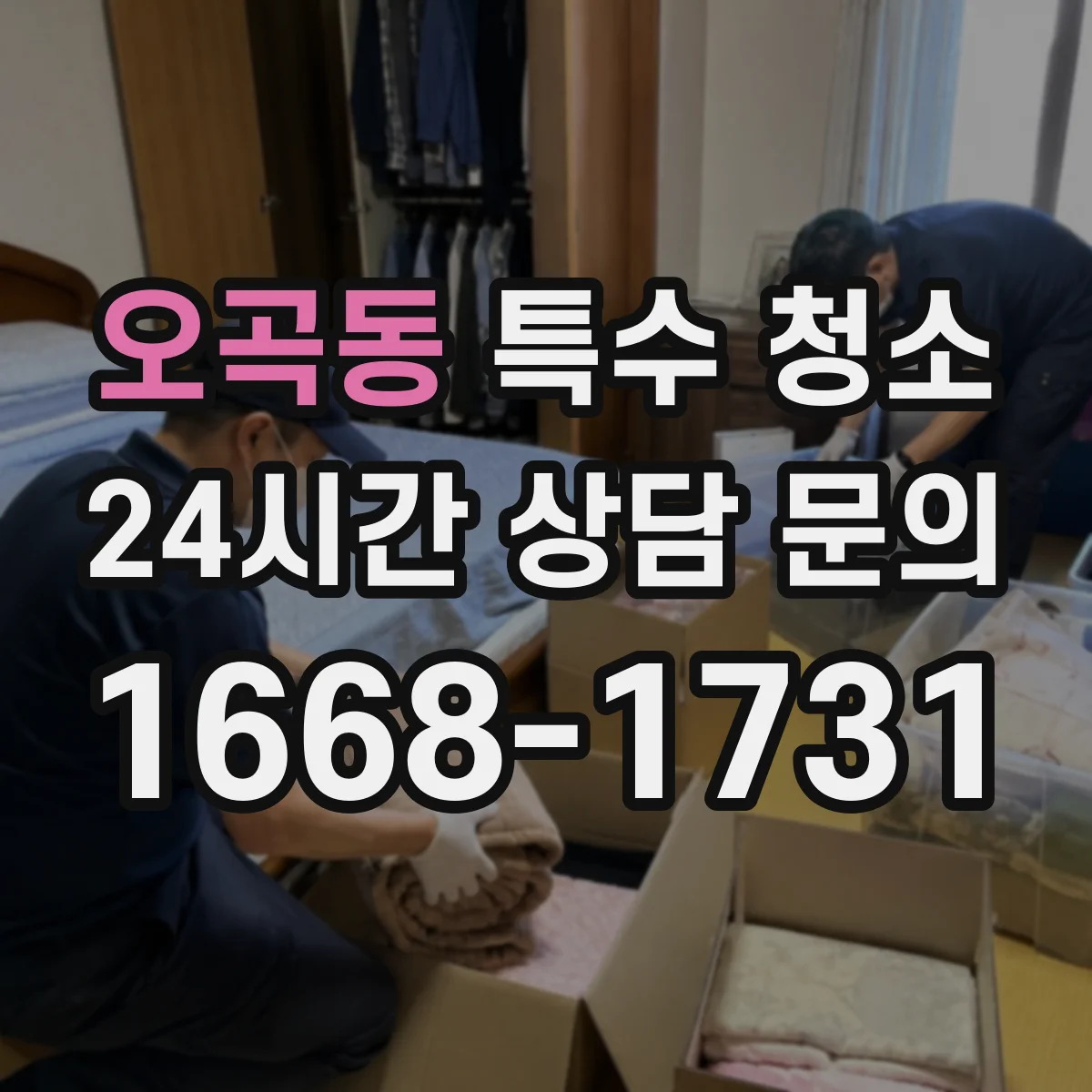 오곡동 특수 청소