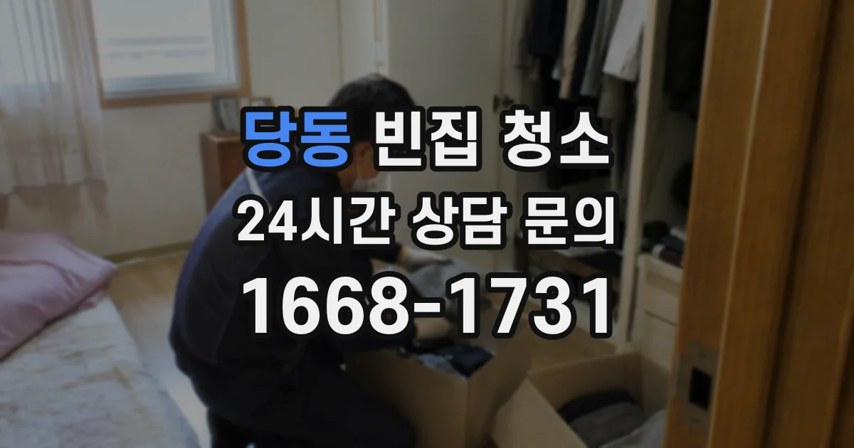 당동 빈집 청소