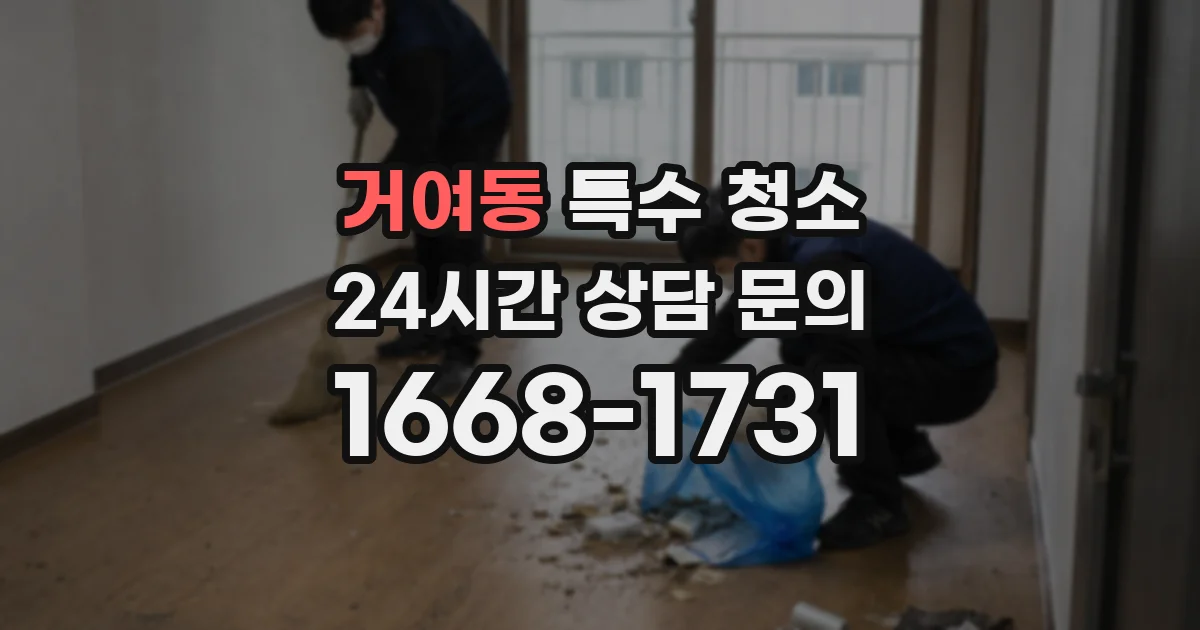 거여동 특수 청소