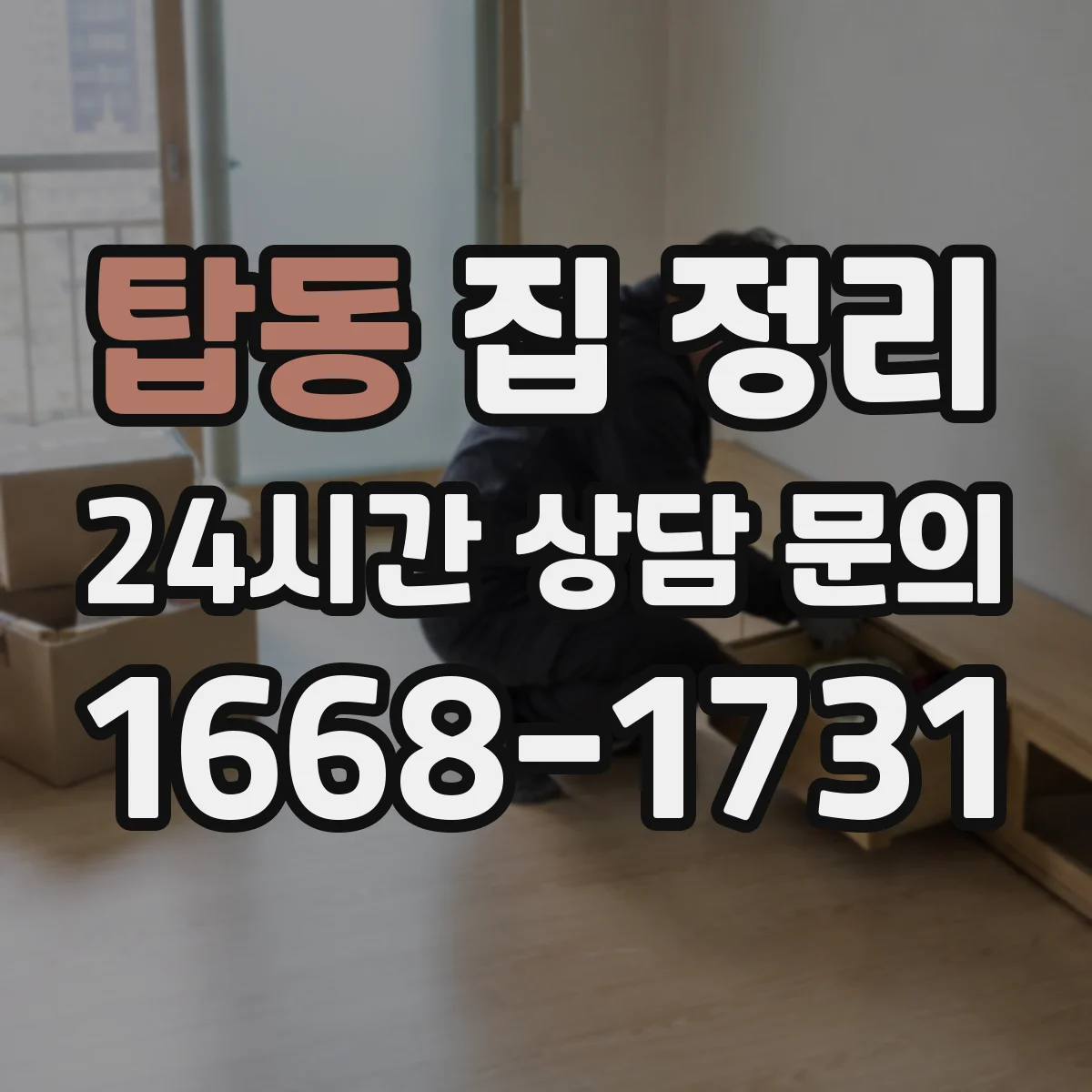 탑동 집 정리