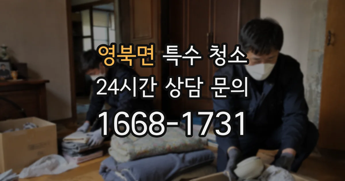 영북면 특수 청소