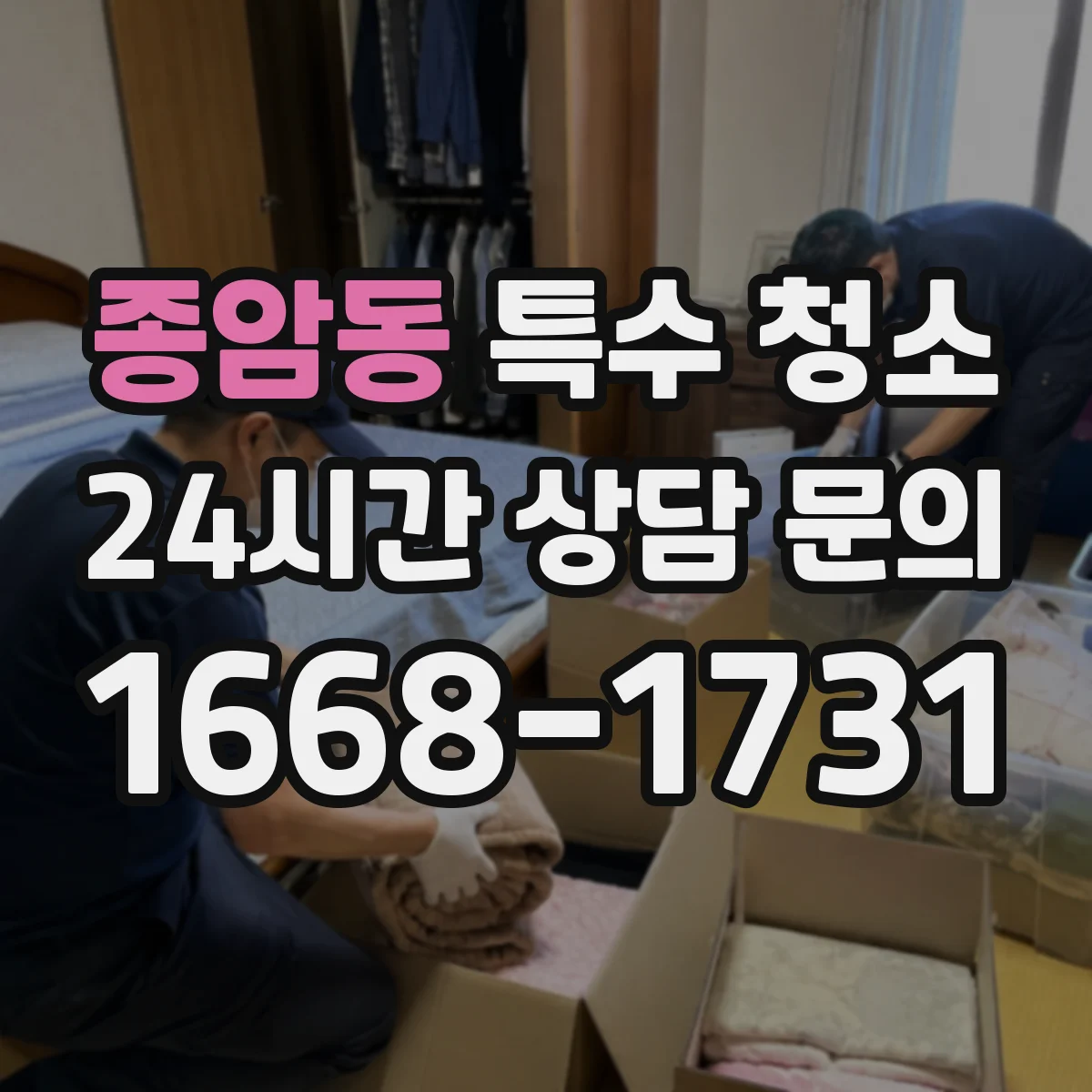 종암동 특수 청소