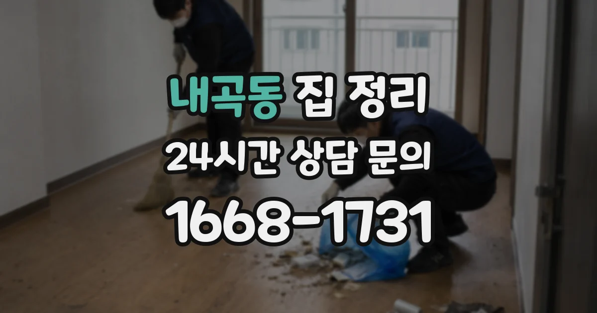 내곡동 집 정리