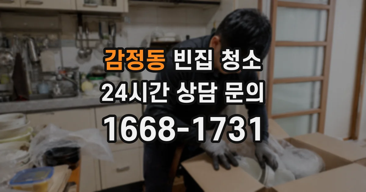 감정동 빈집 청소